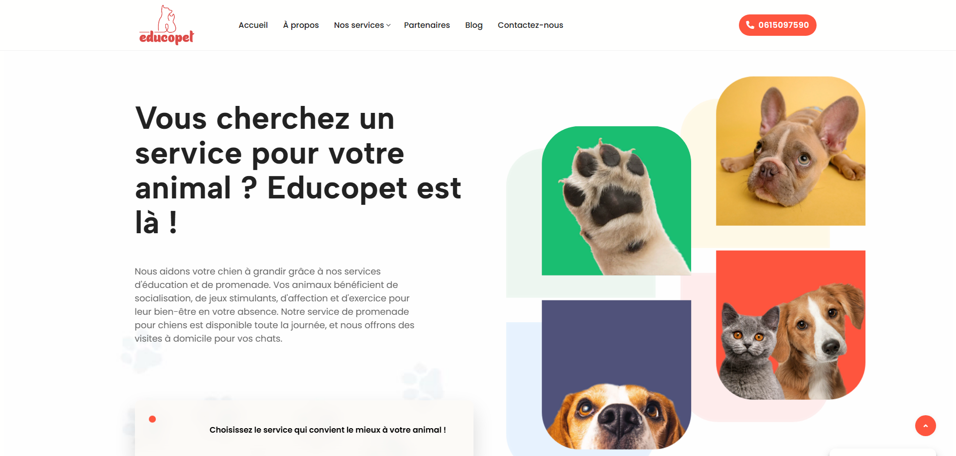 Capture d'écran du site Educopet — éducation canine créé par Stackrio